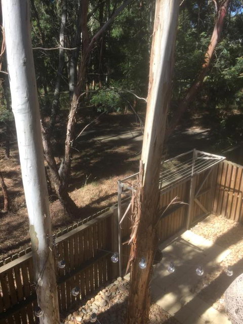 Tangles - Accommodation Broome 6