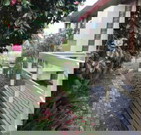 The Glen Family House - Accommodation Broome