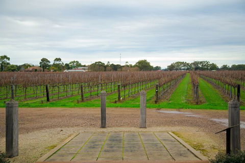 Yalumba Menzies Retreat - Accommodation Broome 4