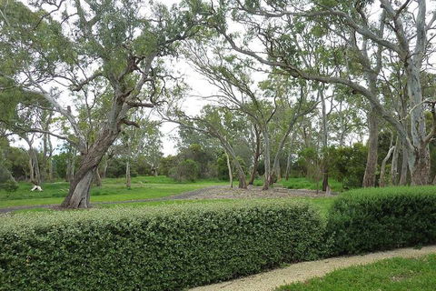Yalumba Menzies Retreat - Accommodation Broome 2