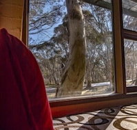 Snowgums 07 - Accommodation Broome