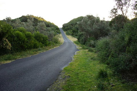Venus Escapes Guesthouse - Accommodation Broome 2