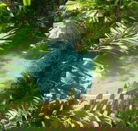 Palm Cove Tropic Apartments - Accommodation Broome