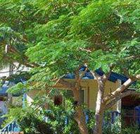 Amber Gardens Guesthouse - Accommodation Broome