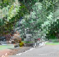 Oasis at Palm Cove - Accommodation Broome