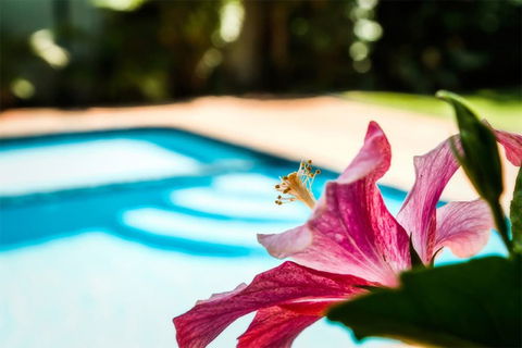 Coffs Harbour Holiday Apartments - Accommodation Broome 1