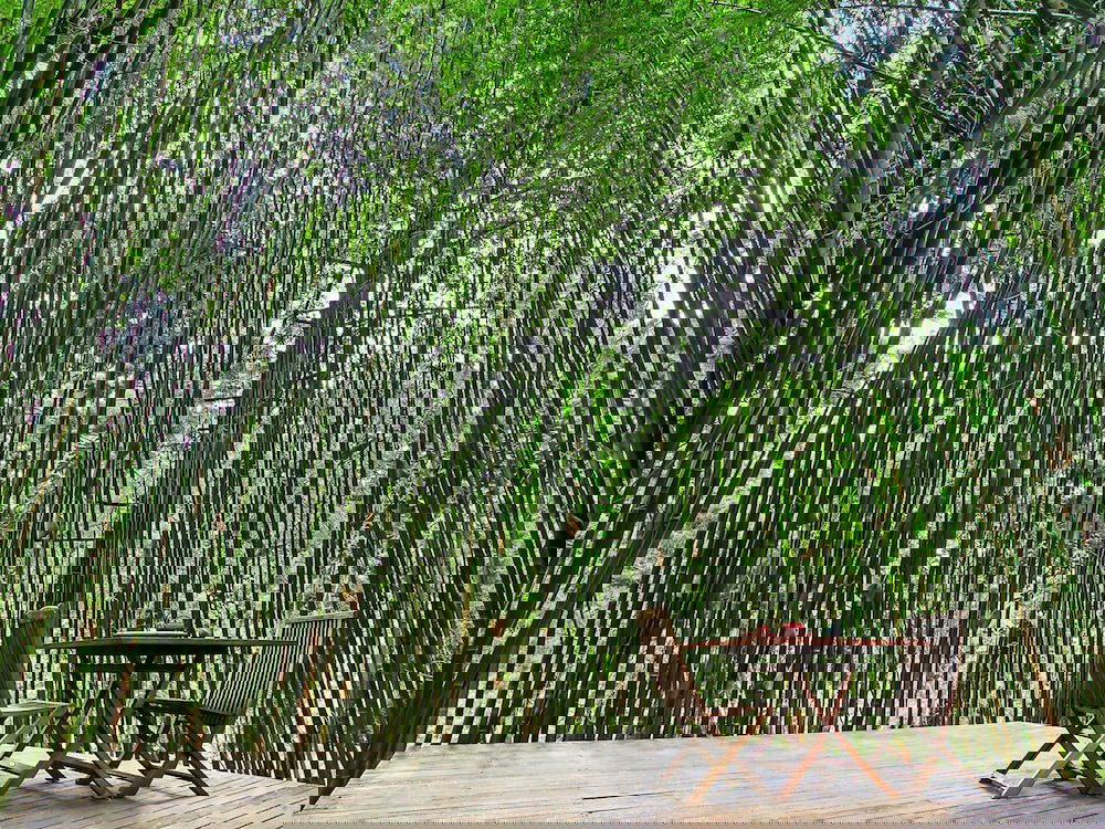 Skinners Shoot NSW Accommodation Broome