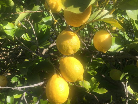 Bush Retreat Farm House - Accommodation Broome 6