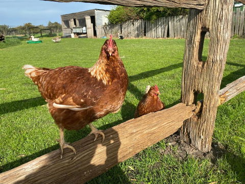 Bush Retreat Farm House - Accommodation Broome 1