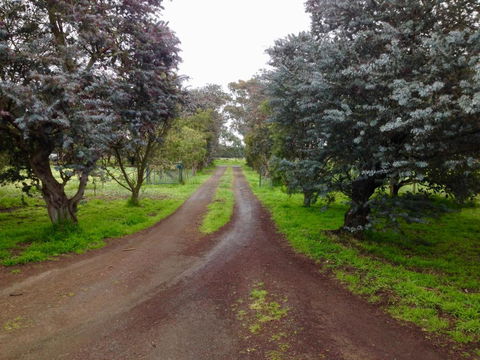 Fairy Wren Cottage Country To Coast Retreat - Accommodation Broome 4