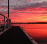 Fairy Wren Cottage Country to Coast Retreat - Accommodation Broome