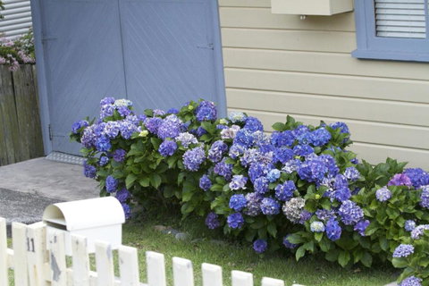 Lorikeet Retreat 11 Hodgson Street - Accommodation Broome 3