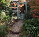 Lemon Tree Cottage - Accommodation Broome