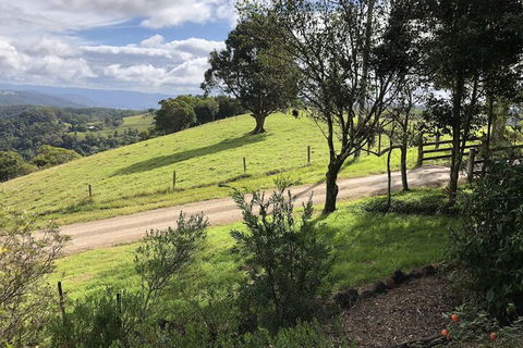 Top Cottage At Maleny - Accommodation Broome 5