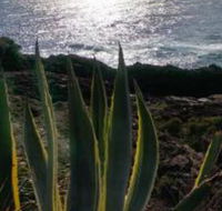 Ven  Marks Place - Accommodation Broome