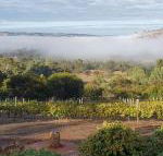 Pecan Hill BNB - Accommodation Broome