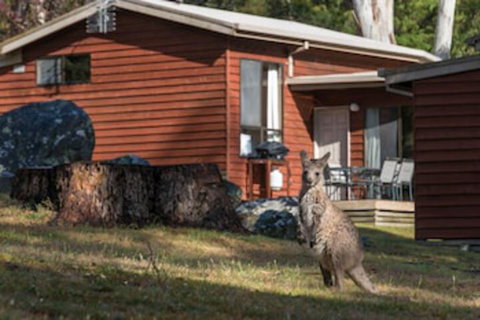 Wonderland Cottages - Accommodation Broome 0