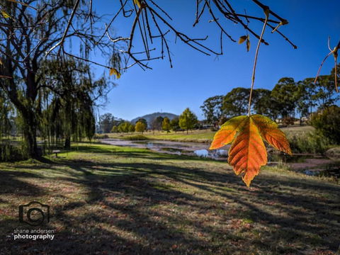 Dillons Cottage - Accommodation Broome 4