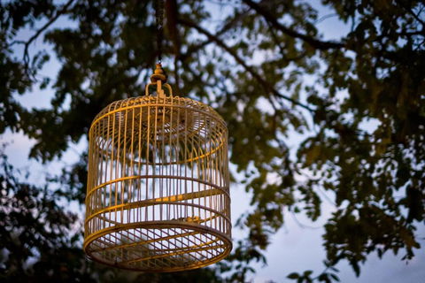 Annies Victorian Terrace Accommodation Fremantle - Accommodation Broome 1