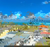 Driftwood On The Beach