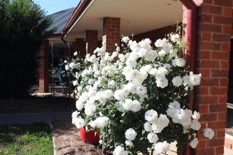 Gundaroo Manor Bed & Breakfast - Accommodation Broome 1