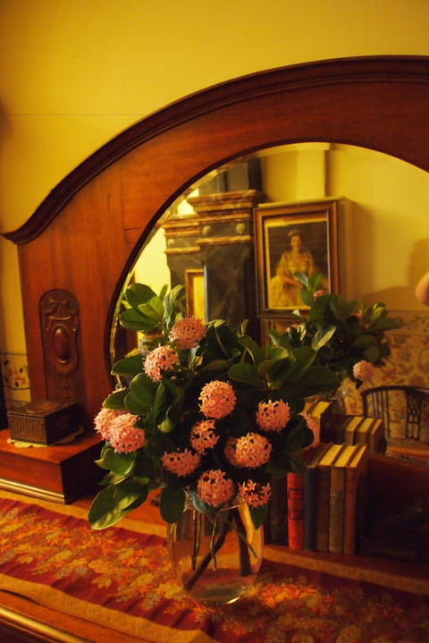 Vacy Hall Toowoomba's Grand Boutique Hotel - Accommodation Broome 6