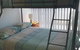 Ebbtide Unit 23 2 6 North St. Forster - thumb 3