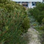 Polperro A Quintessential Seaside Experience - Accommodation Broome 0
