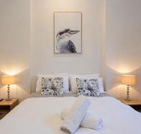 Dingo at White Gum Lodge - Accommodation Broome