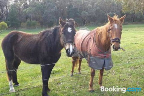 Heritage Bed & Breakfast - Accommodation Broome 3