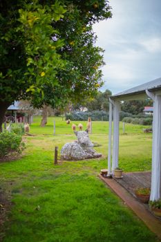Davidsons Cottage - Accommodation Broome 5