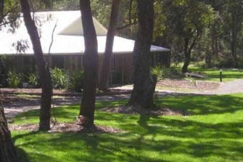 Port Stephens Koala Sanctuary - Accommodation Broome 6