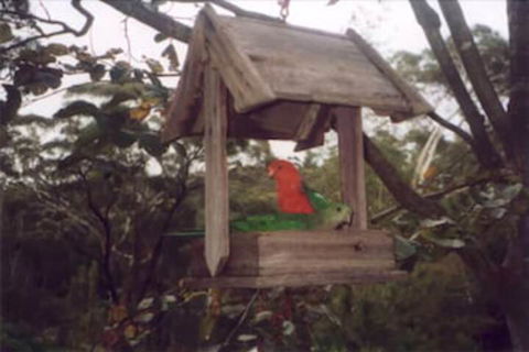 Arcadia Cottage - Accommodation Broome 2