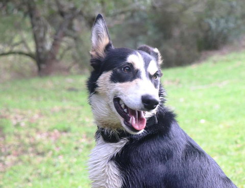 Johanna River Farm & Cottages - Accommodation Broome 4