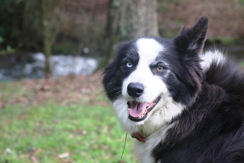 Johanna River Farm & Cottages - Accommodation Broome 3