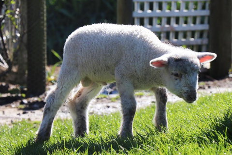 Johanna River Farm & Cottages - Accommodation Broome 2