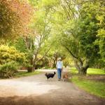 Johanna River Farm & Cottages - Accommodation Broome 0