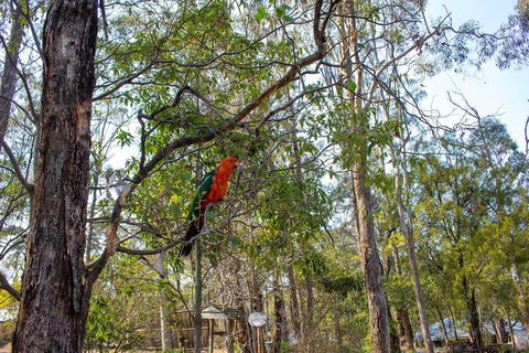 Kalimna Woods Cottages - Accommodation Broome 2