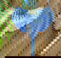 Deja Vu Palm Cove Private Heated Pool - Accommodation Broome