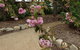 Silverleaf Cottage - thumb 2