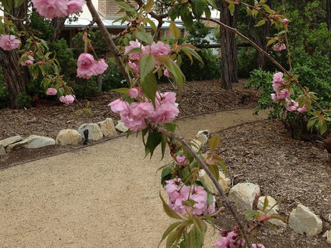 Silverleaf Cottage - Accommodation Broome 2