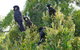 Eagles Rise Tasmania - thumb 5