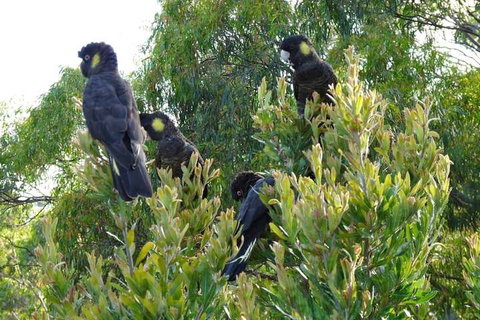Eagles Rise Tasmania - Accommodation Broome 5