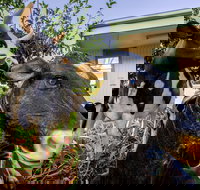 Big4 Shepparton Park Lane - Accommodation Broome