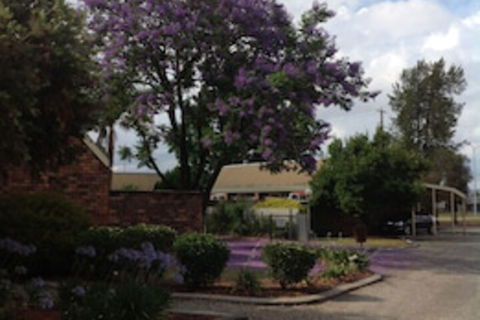 Belvoir Village Motel & Apartments Wodonga - Accommodation Broome 0