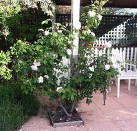 Ellesmere House - Accommodation Broome