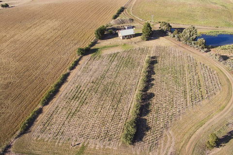 Charles Reuben Estate - Accommodation Broome 1