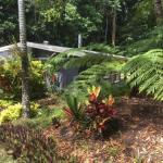 Kuranda QLD Accommodation Broome