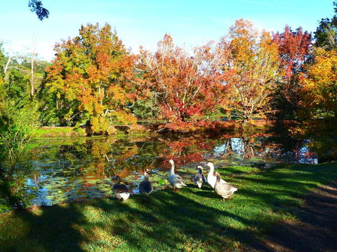 McCarthy Lake House - Accommodation Broome 1