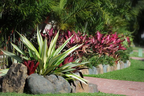 BIG4 Adventure Whitsunday Resort - Accommodation Broome 5